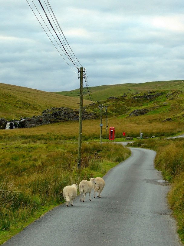 Budka telefoniczna w Nantymaen