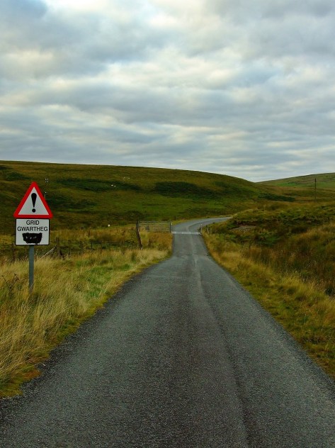 Krajobrazy doliny Camddwr