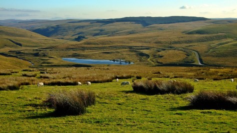 Krajobrazy doliny Camddwr