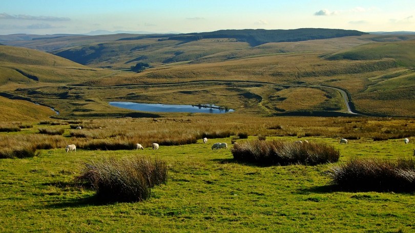 Krajobrazy doliny Camddwr