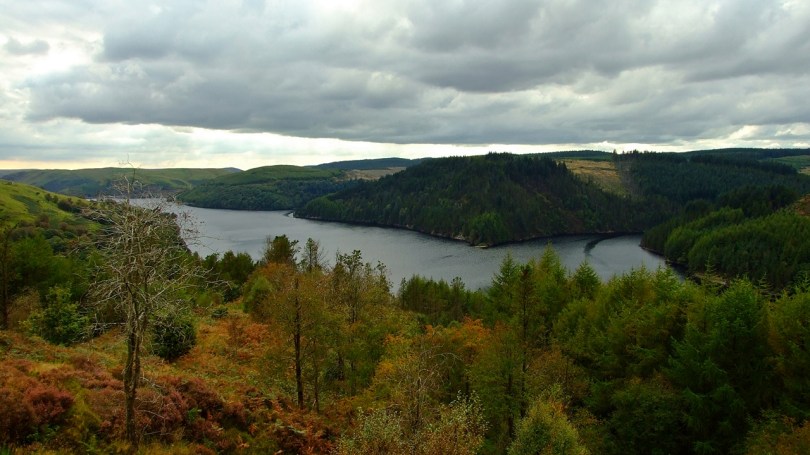 Llyn Brianne i okolice