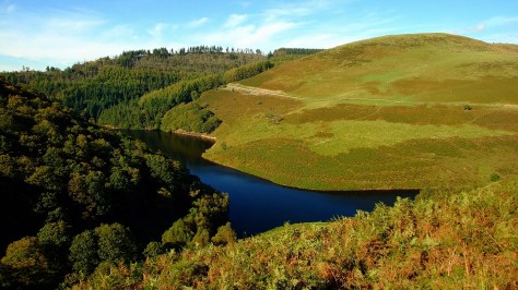 Llyn Brianne i okolice