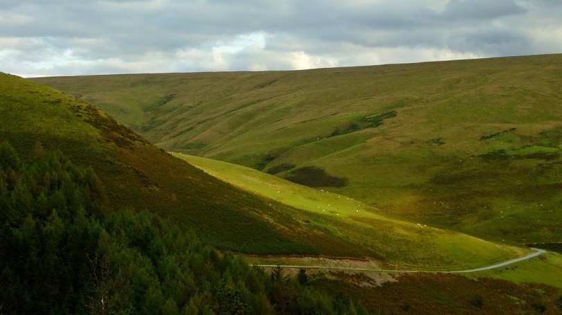Llyn Brianne i okolice