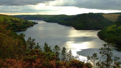 Llyn Brianne i okolice