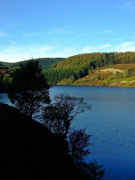 Llyn Brianne i okolice