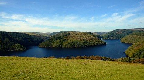 Llyn Brianne i okolice