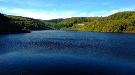Llyn Brianne i okolice