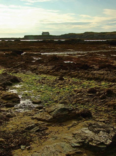 St Cwyfan's Church - Church in the sea