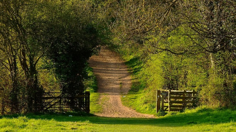 Krajobrazy podmiejskie...