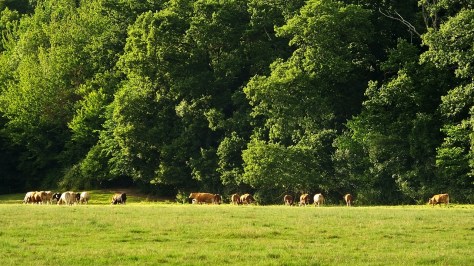 Krajobrazy podmiejskie...