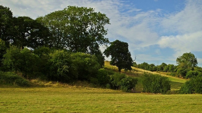 Krajobrazy podmiejskie...