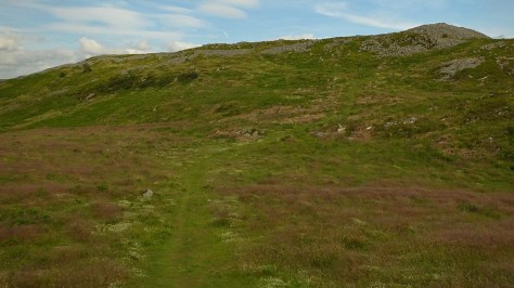 Garn Goch - grodzisko z epoki żelaza