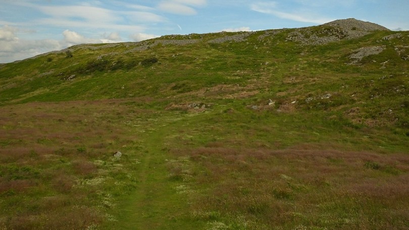 Garn Goch - grodzisko z epoki żelaza