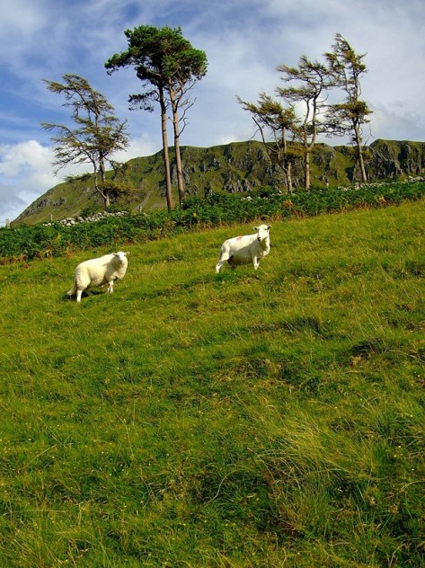 Na szlaku wokół Cregennan Lakes