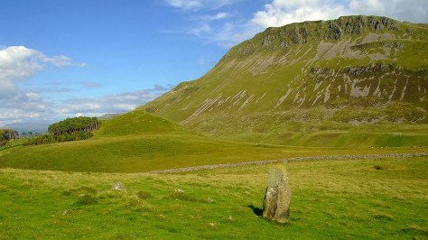 Carreg y Big standing stone
