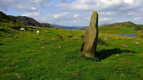 Carreg y Big standing stone