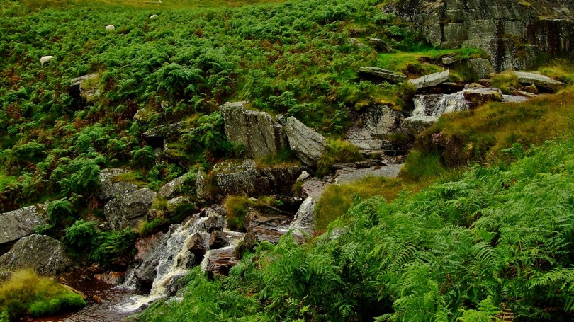 Kaskady na Nant Gwynllyn