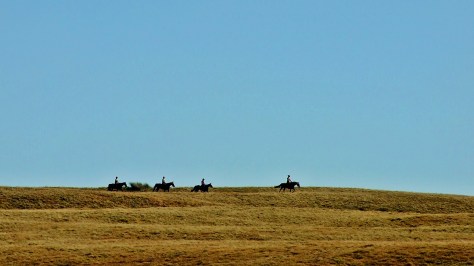 ...i często można spotkać tu turystów na koniach.