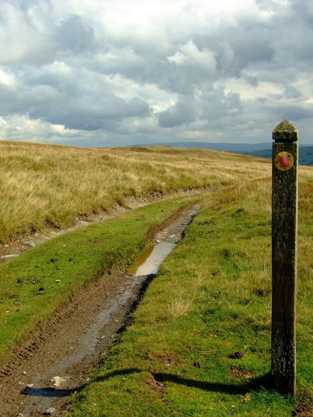 Na pradawnym szlaku, szukając Maen Serth