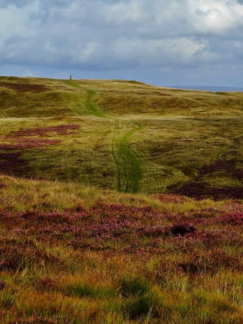 Przez wrzosowiska...