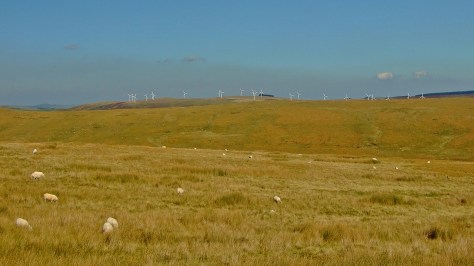 Bryn Titli Wind Farm