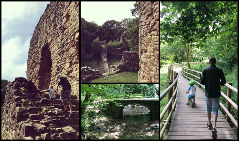 Park Wepre i Zamek Ewloe by Ola Jones