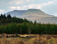 Z daleka od tłumów w Brecon Beacons
